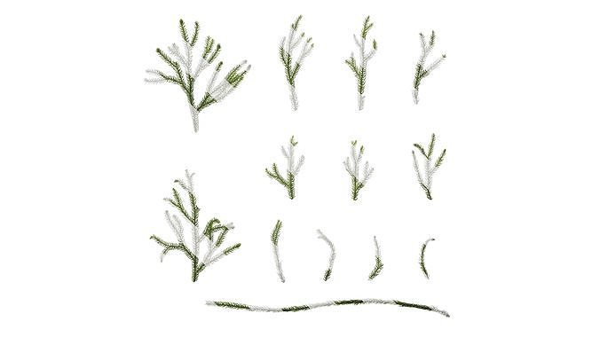 Anydrafts Lycopodium japonicum Atlas 02 Texture