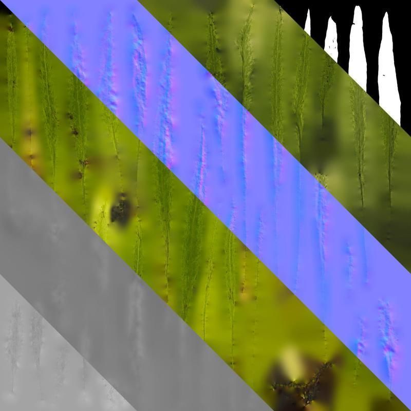 Anydrafts Microsorum pteropus Leaf 01 Texture_8