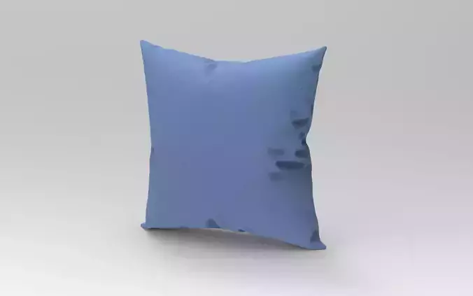 Cushion