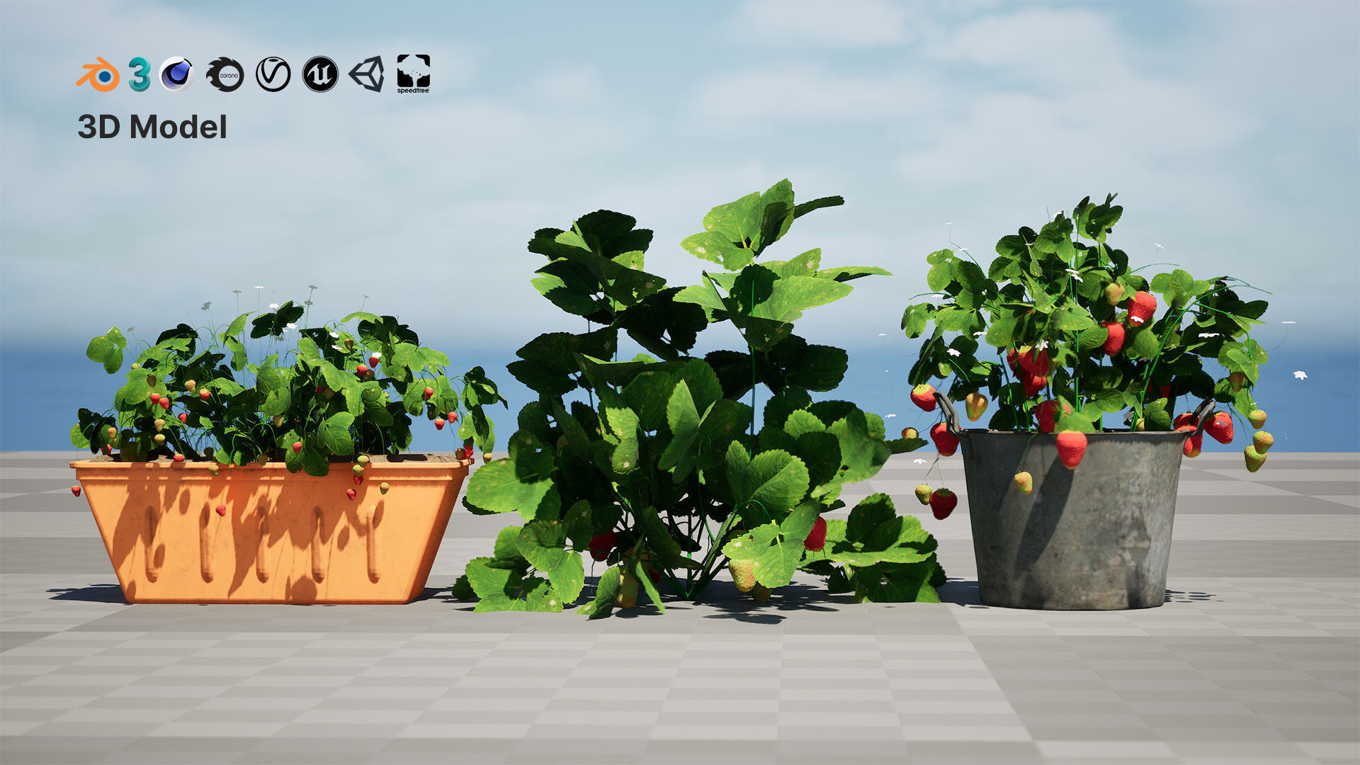 3D Strawberry Plant Collection Low-poly 3D model_12