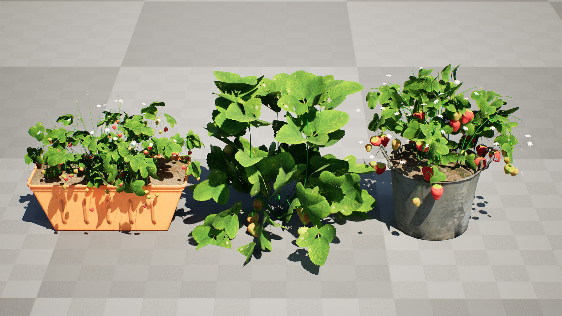 3D Strawberry Plant Collection Low-poly 3D model_10