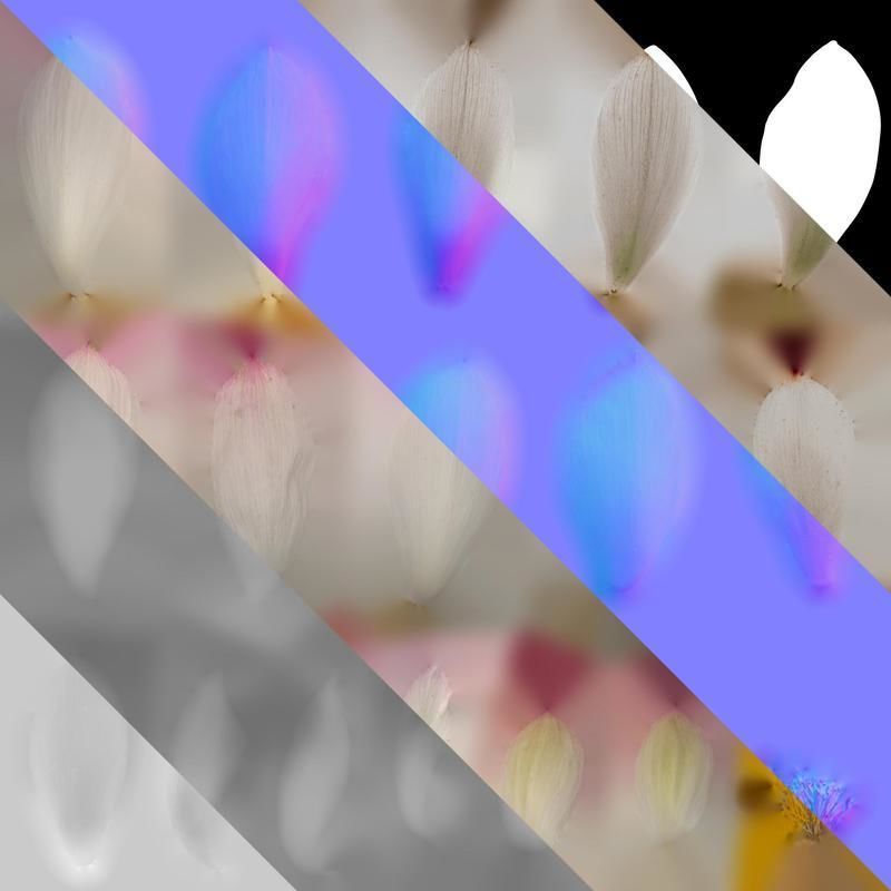 Anydrafts Nelumbo nucifera Flower 04 F Texture_8