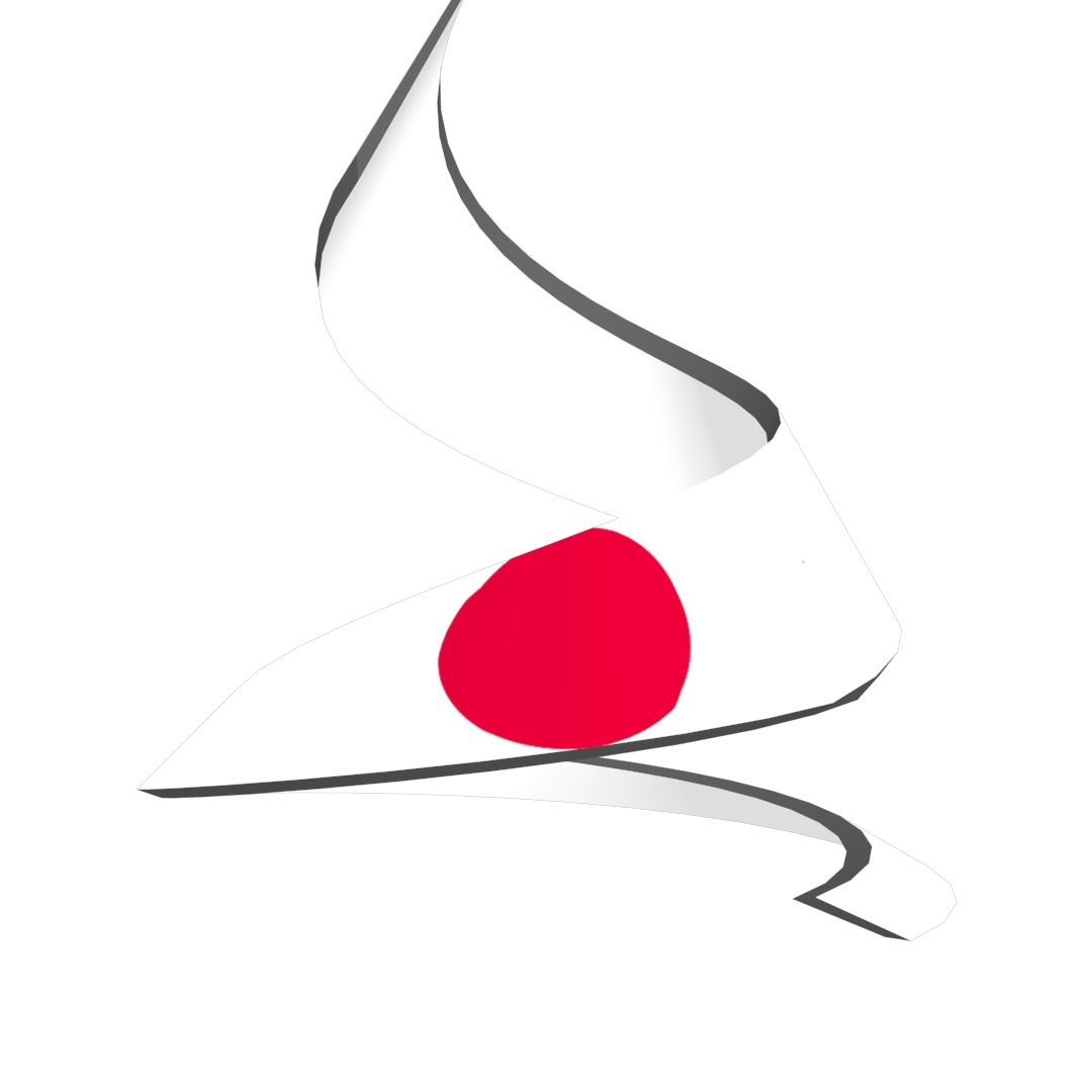 Japan Flag on a double helical spiral structure 3D model_32