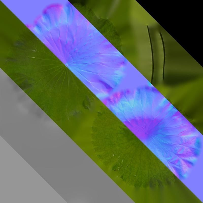 Anydrafts Nelumbo nucifera Leaf 02 Texture_8