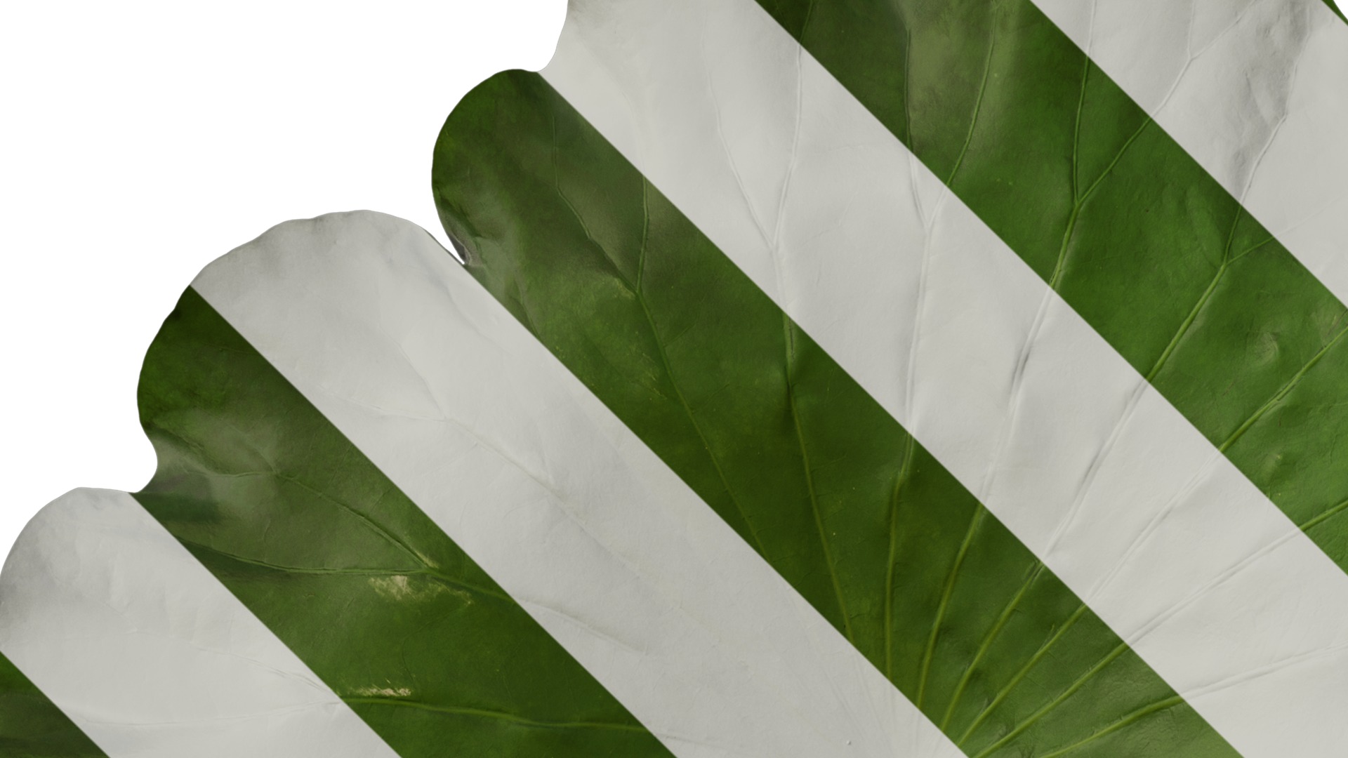 Anydrafts Nelumbo nucifera Leaf 02 Texture_1