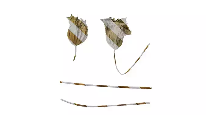 Anydrafts Nelumbo nucifera Leaf 13