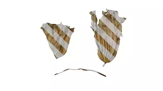 Anydrafts Nelumbo nucifera Leaf 14