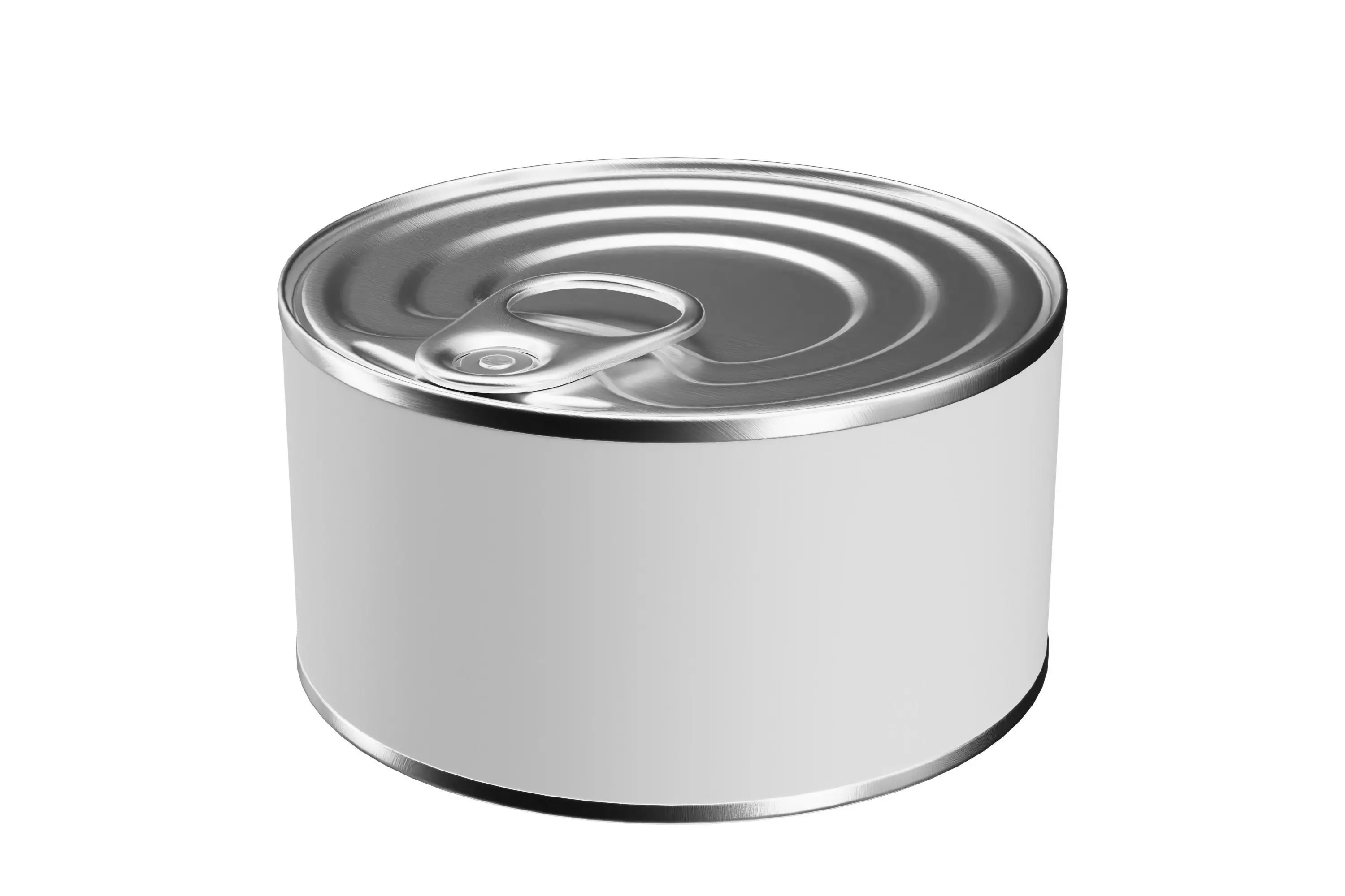 Canned Food 01 3D model