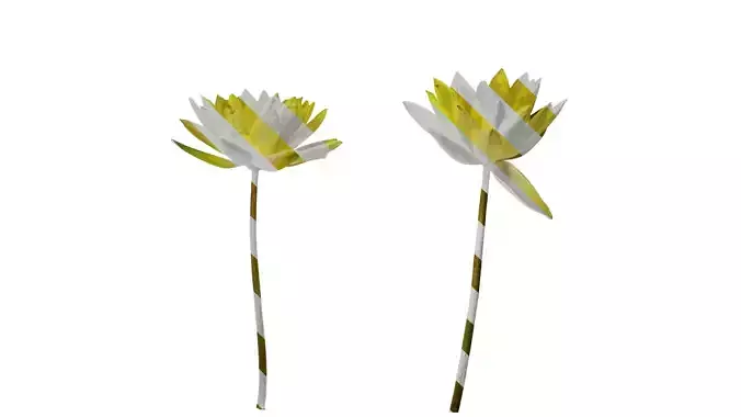 Anydrafts Nymphaea tetragona Flower 28