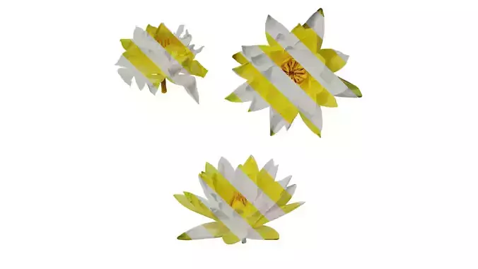 Anydrafts Nymphaea tetragona Flower 29