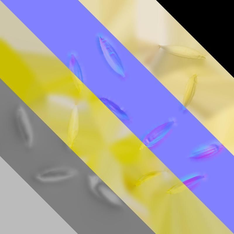 Anydrafts Nymphaea tetragona Flower 31 Texture_8