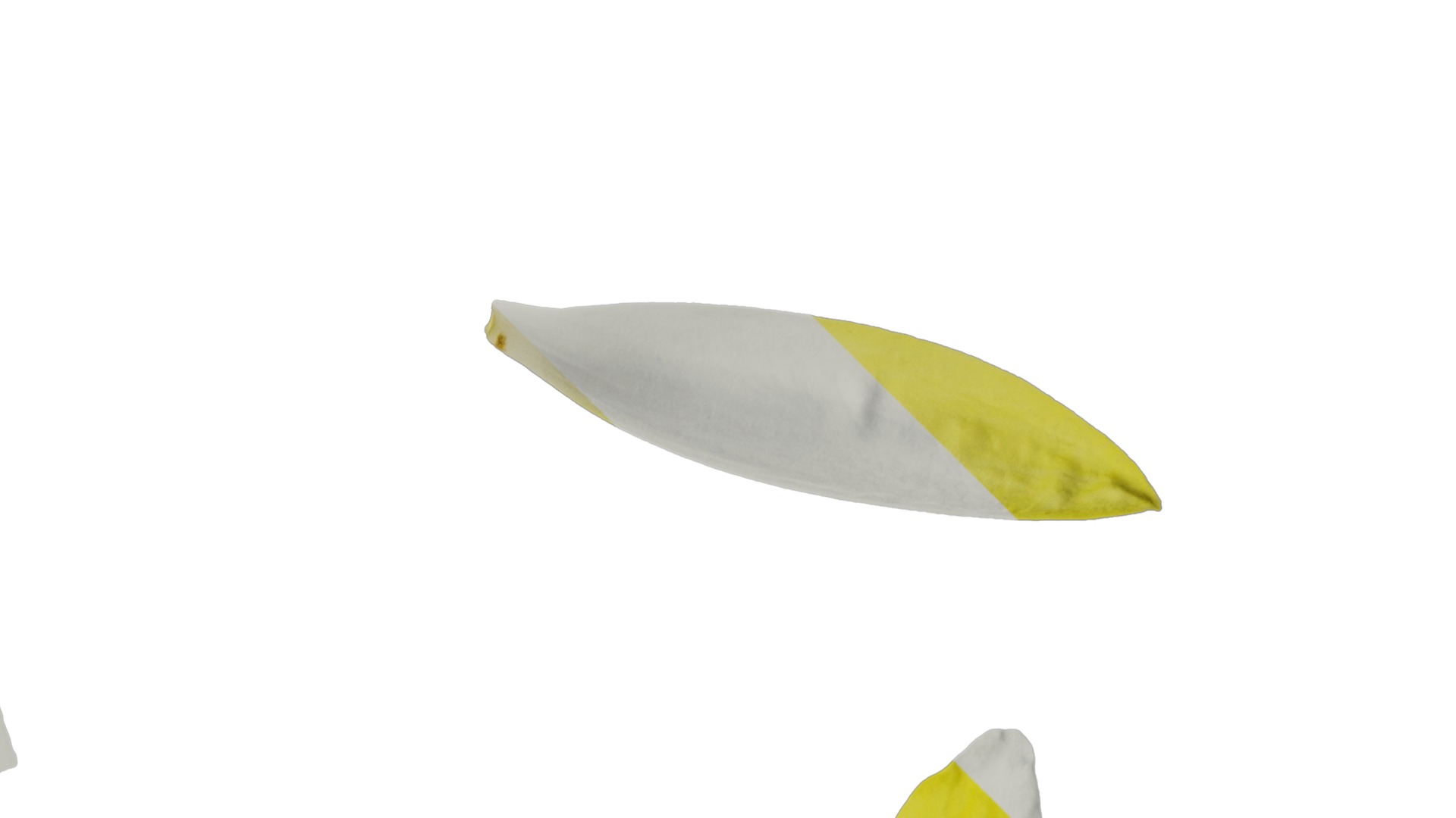 Anydrafts Nymphaea tetragona Flower 31 Texture_2