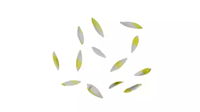 Anydrafts Nymphaea tetragona Flower 31