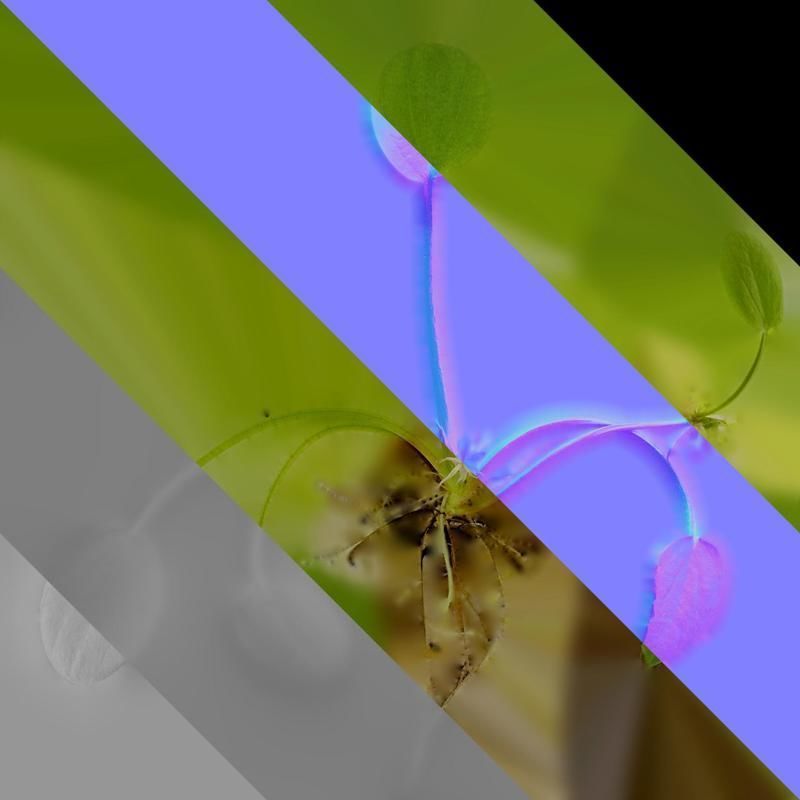 Anydrafts Pistia stratiotes Atlas 01 Texture_8