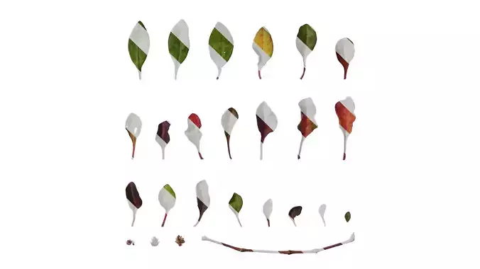 Anydrafts Rosanervig red Leaf 01