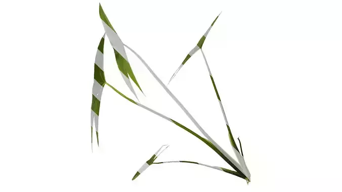 Anydrafts Sagittaria trifolia Atlas 04