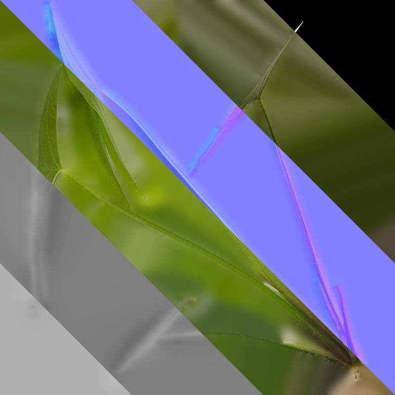 Anydrafts Sagittaria trifolia Atlas 04 Texture_8