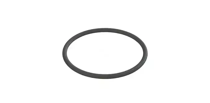 O Ring Vedabras 12210