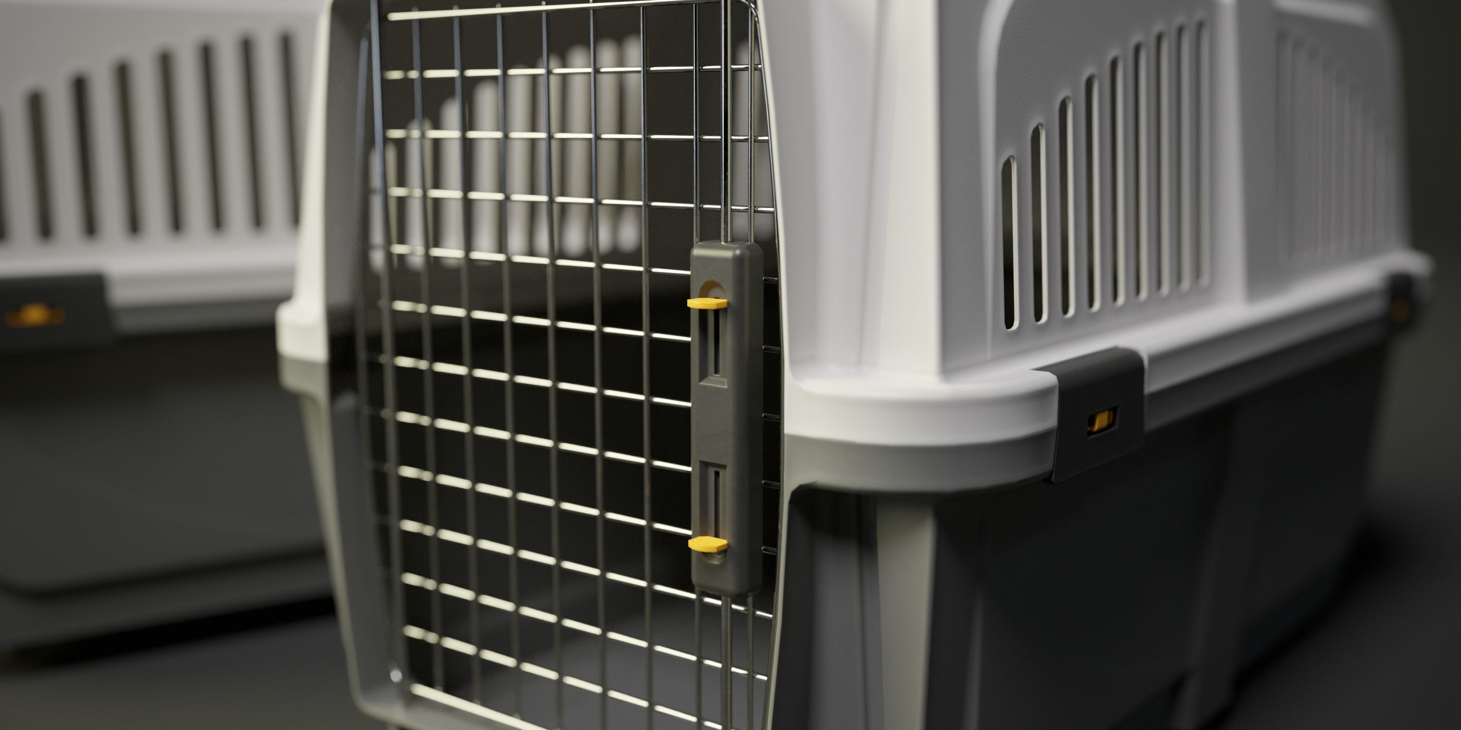 Plastic Pet Carrier PBR Low-poly 3D model_8