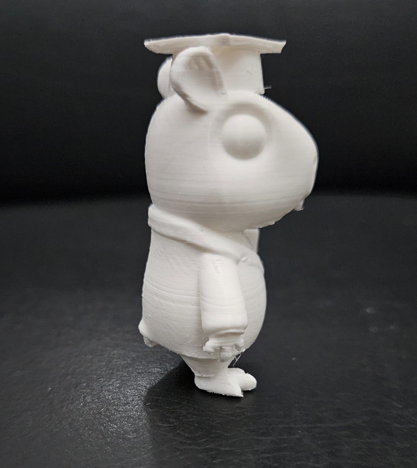 Graduate Capybara 3D print model_7