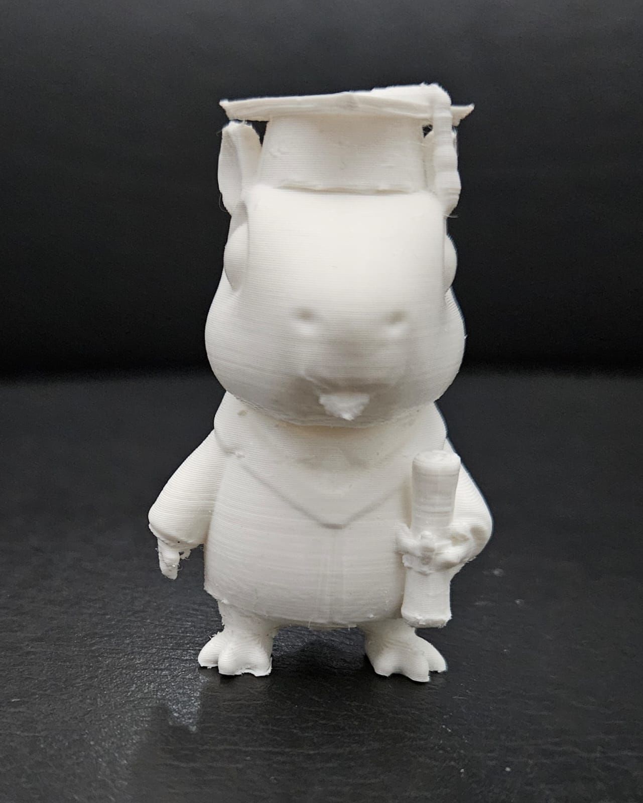 Graduate Capybara 3D print model_13