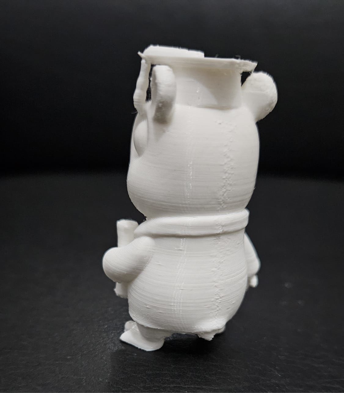 Graduate Capybara 3D print model_10