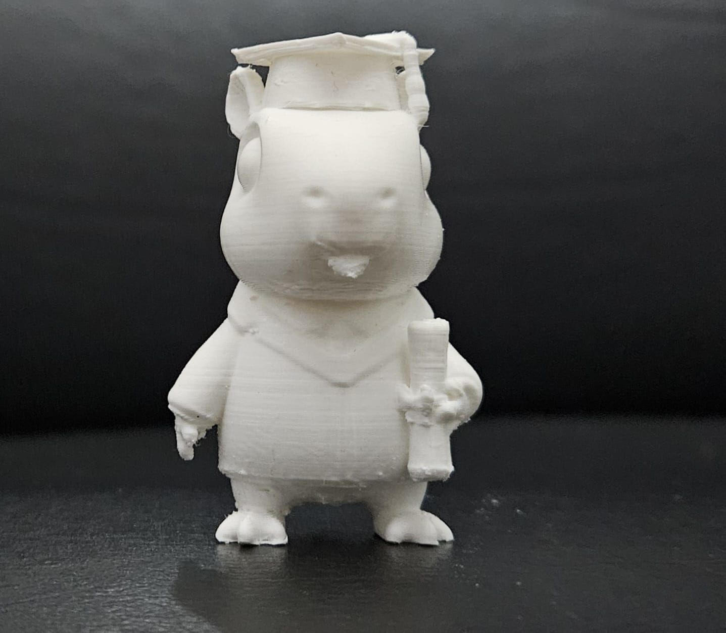 Graduate Capybara 3D print model_14