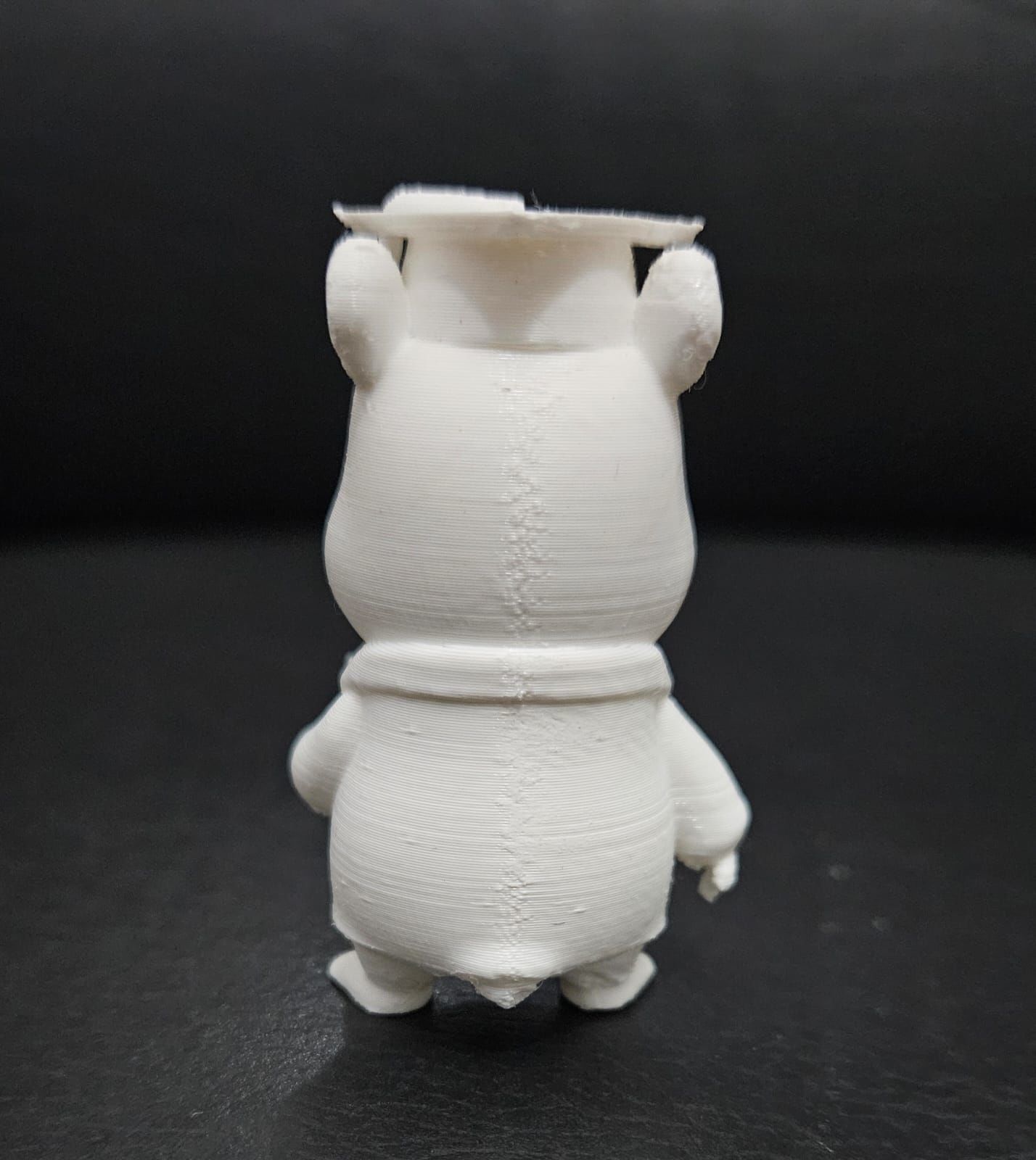 Graduate Capybara 3D print model_8