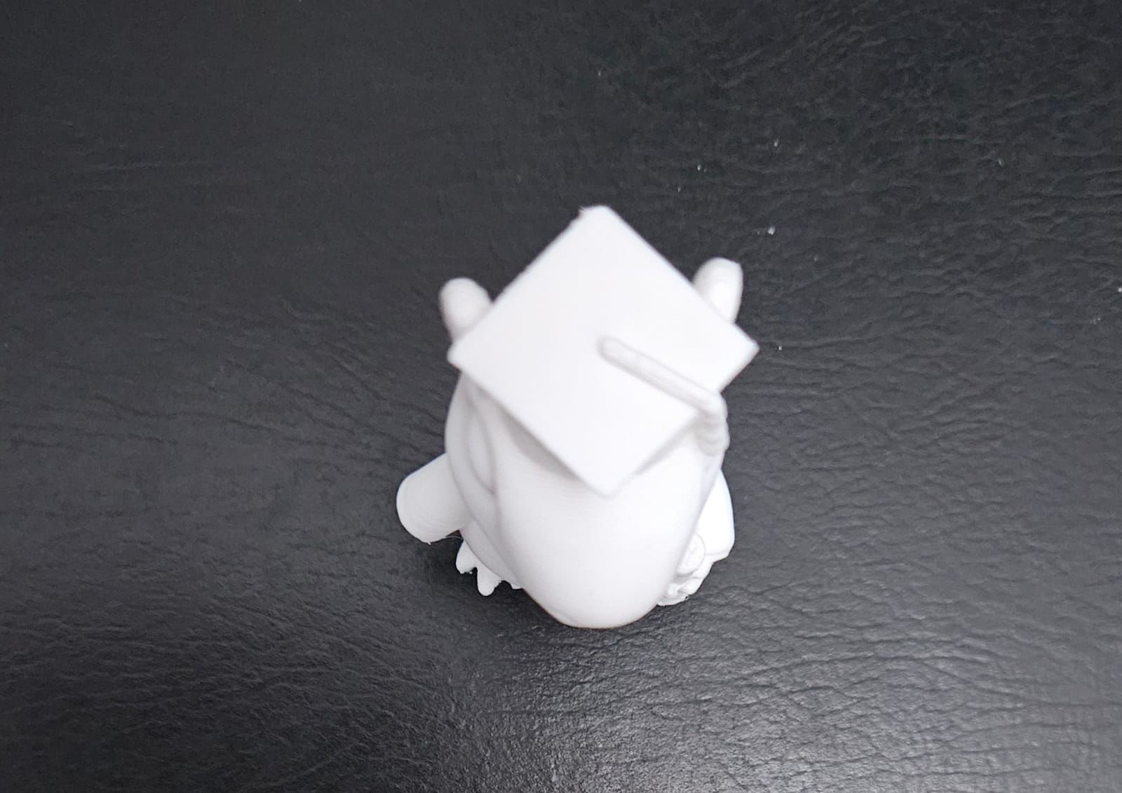 Graduate Capybara 3D print model_16