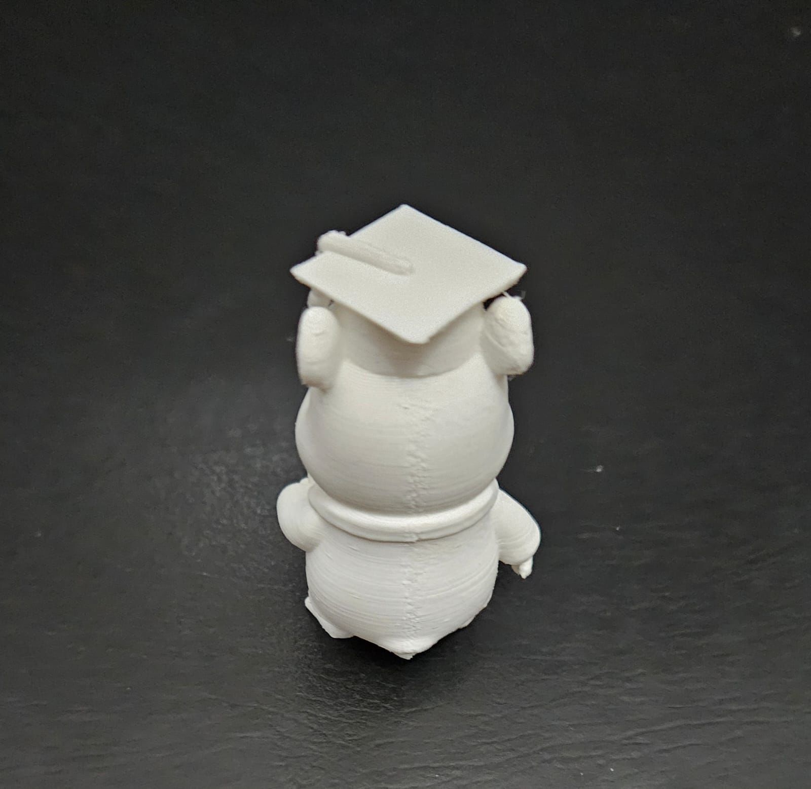 Graduate Capybara 3D print model_9