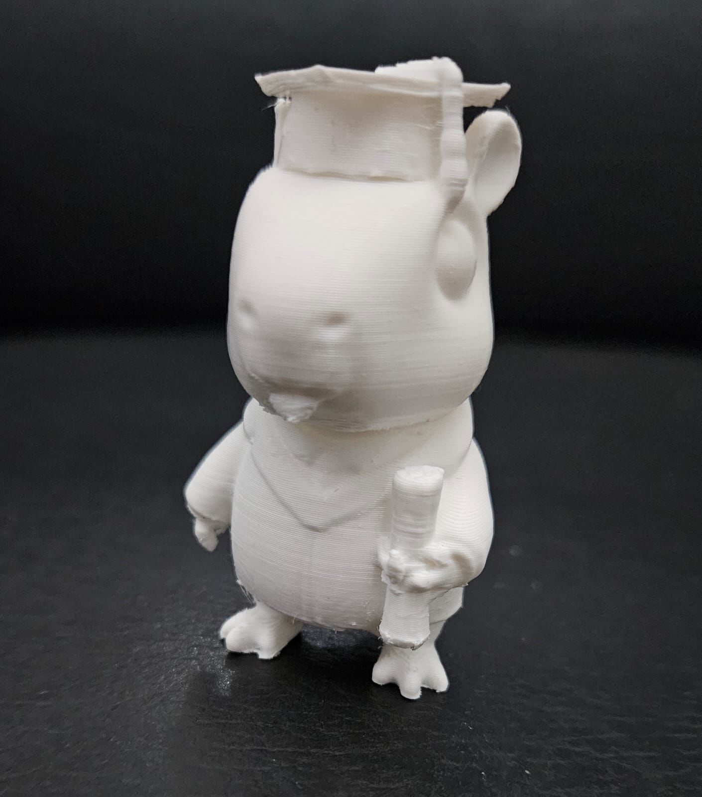 Graduate Capybara 3D print model_12