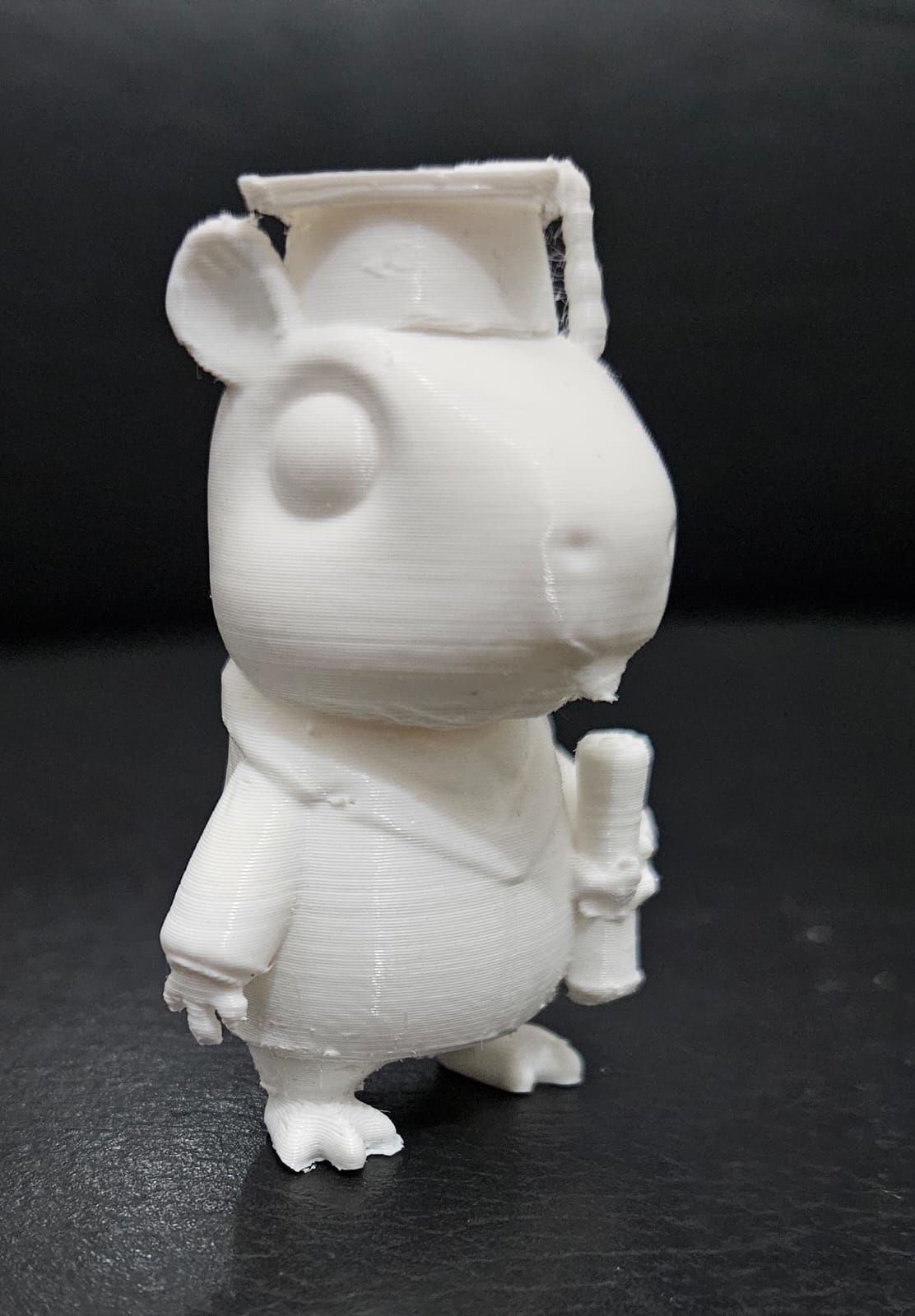 Graduate Capybara 3D print model_6