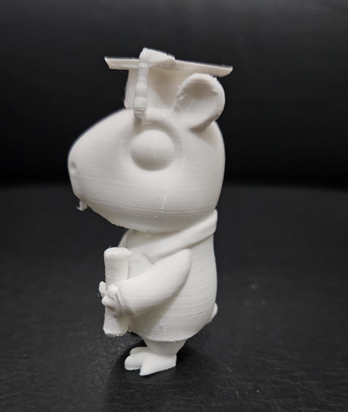 Graduate Capybara 3D print model_11