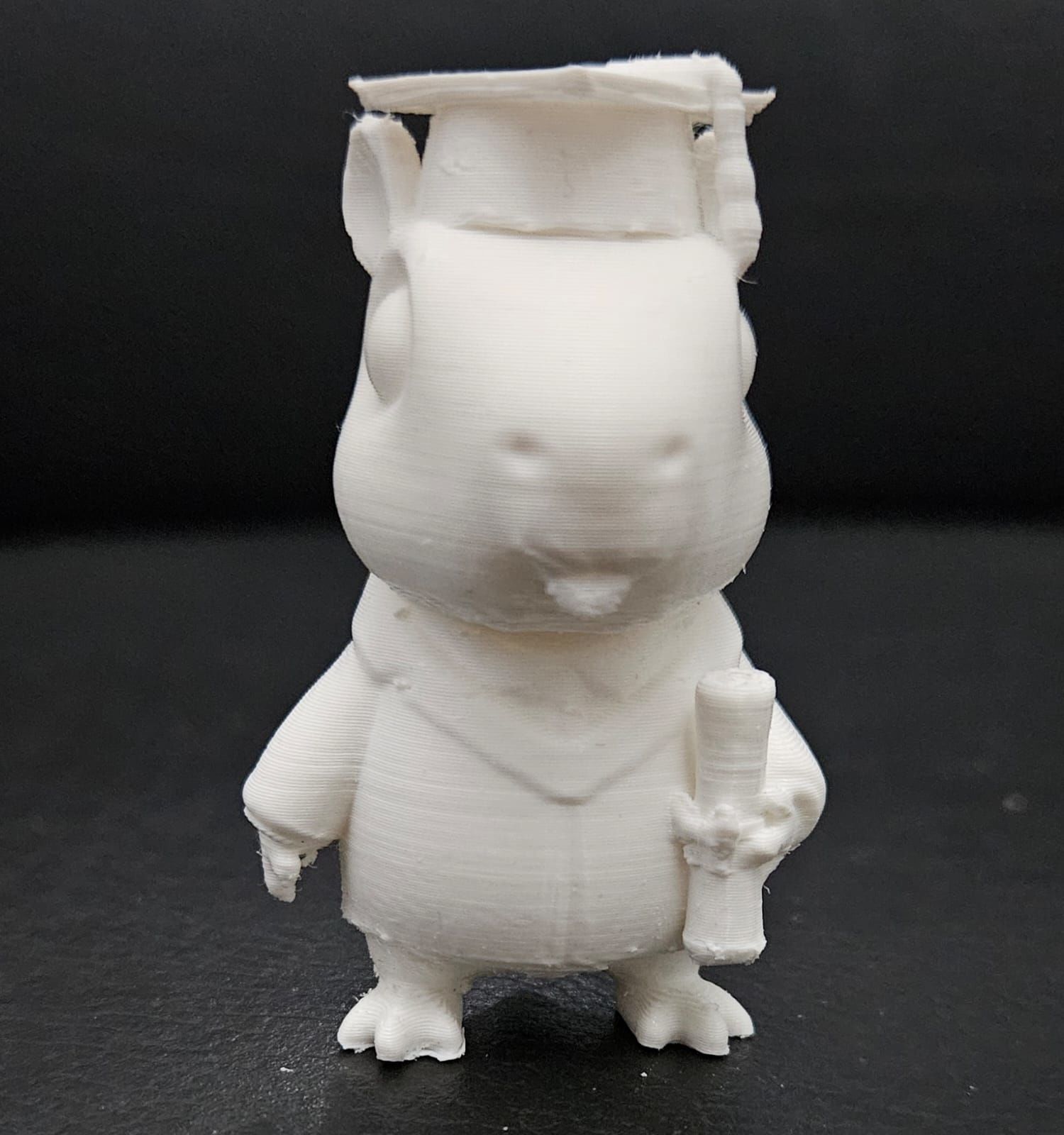 Graduate Capybara 3D print model_5