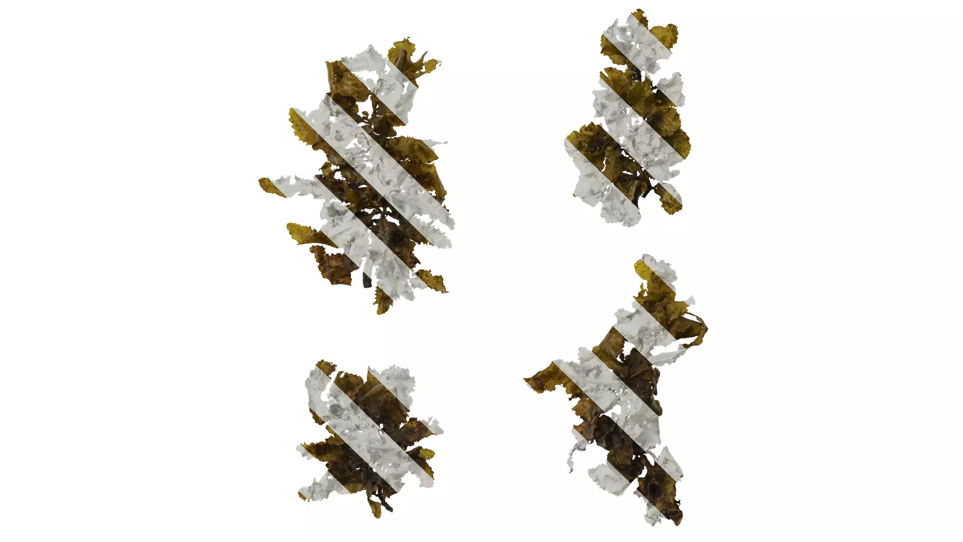 Anydrafts Sargassum pallidum Atlas 09 Texture_0