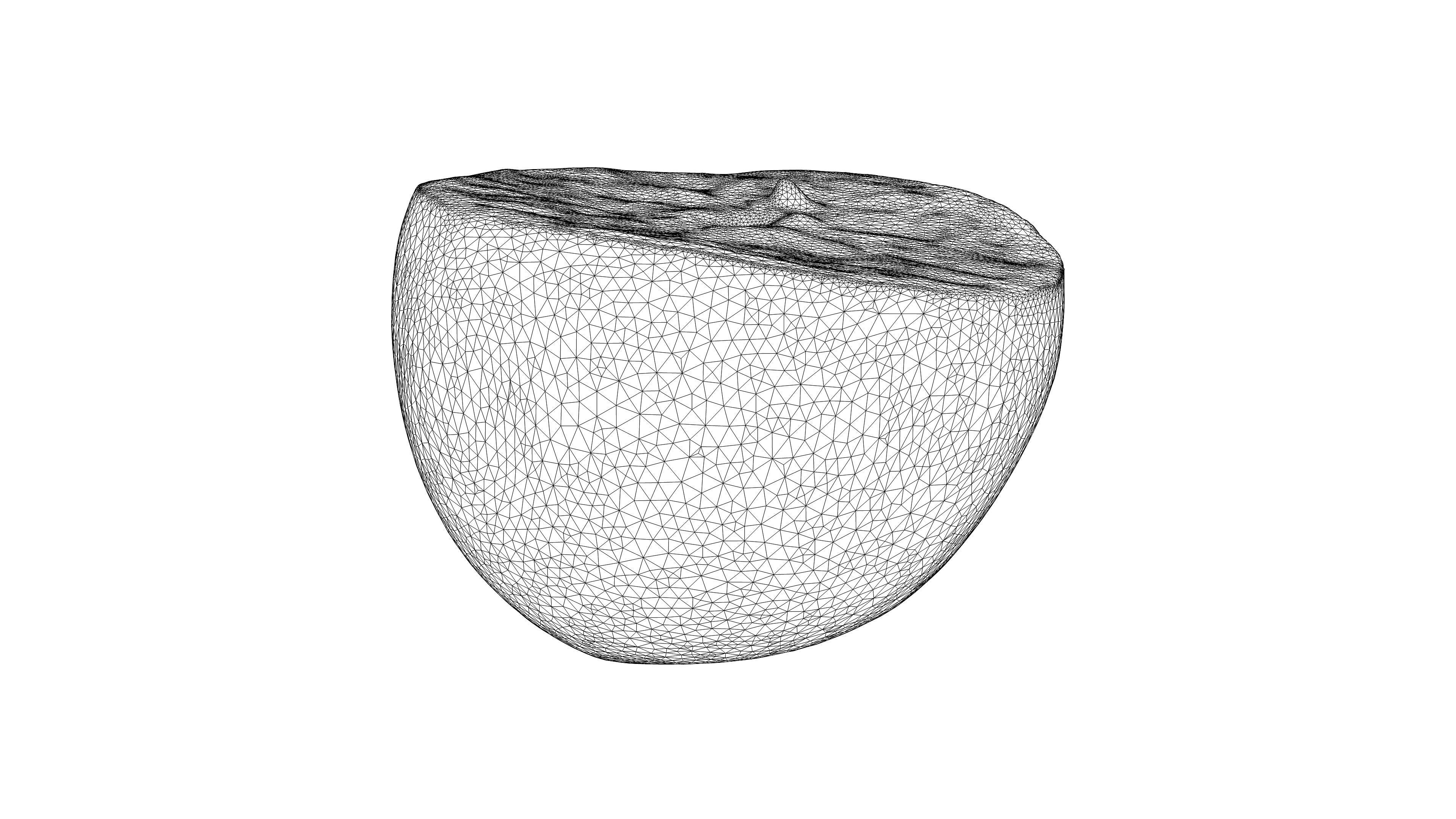 Photorealistic 3D scan of half an orange Low-poly 3D model_23