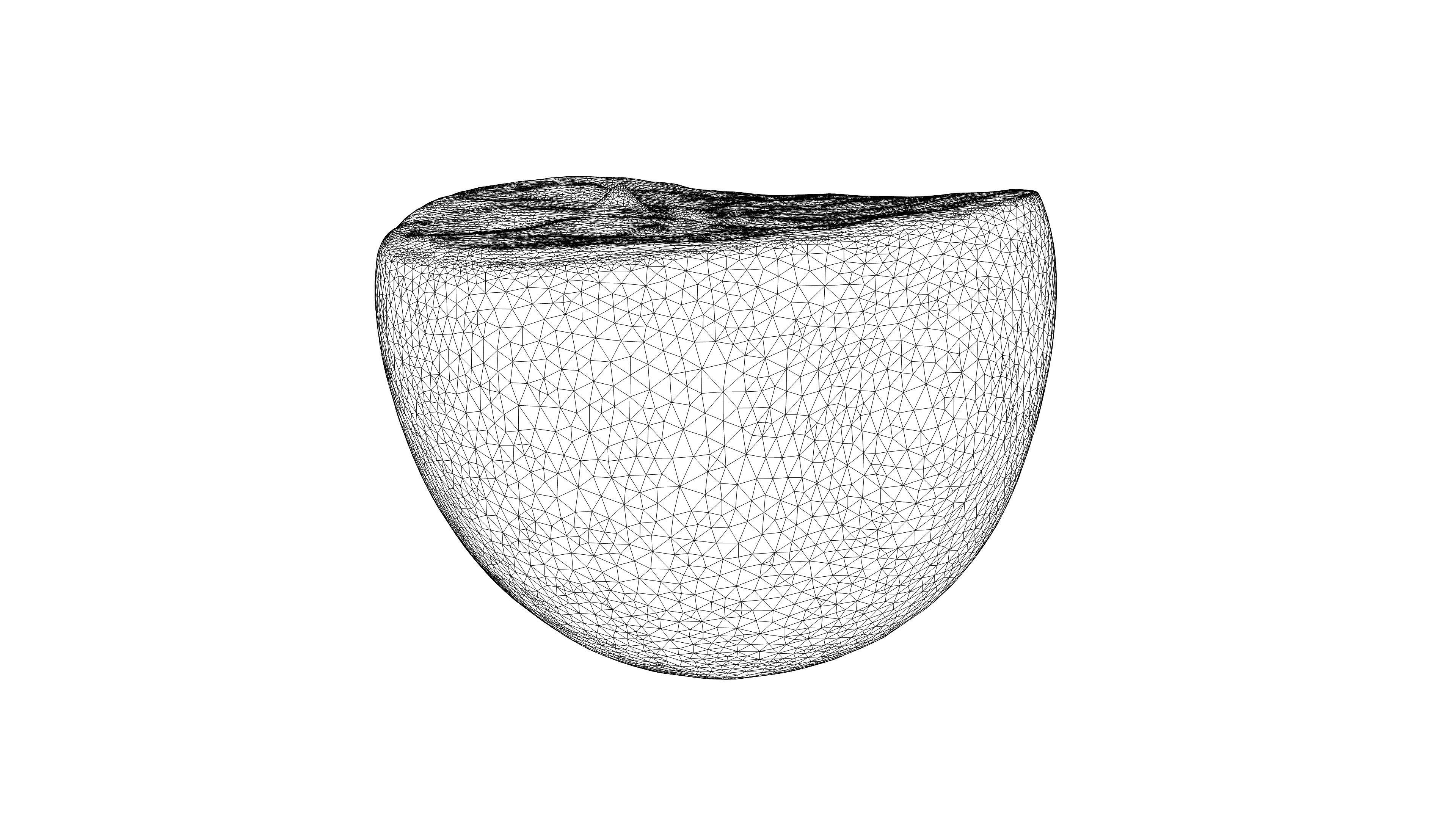 Photorealistic 3D scan of half an orange Low-poly 3D model_22