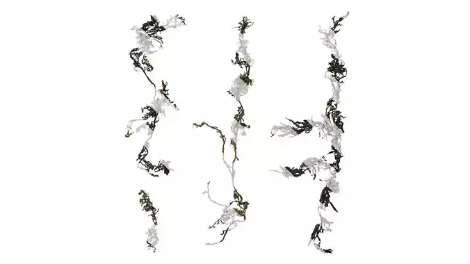 Anydrafts Sargassum pallidum Atlas 14