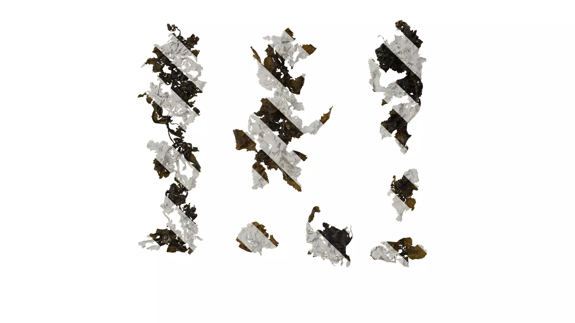 Anydrafts Sargassum pallidum Atlas 15 Texture_0