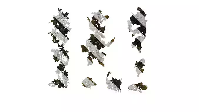 Anydrafts Sargassum pallidum Atlas 15