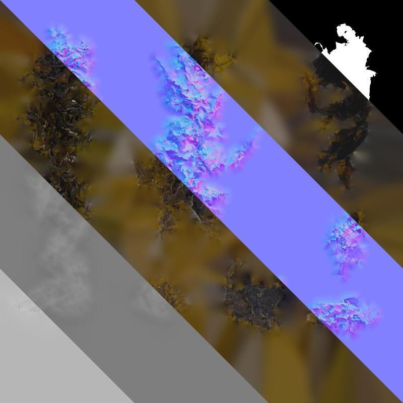 Anydrafts Sargassum pallidum Atlas 15 Texture_8