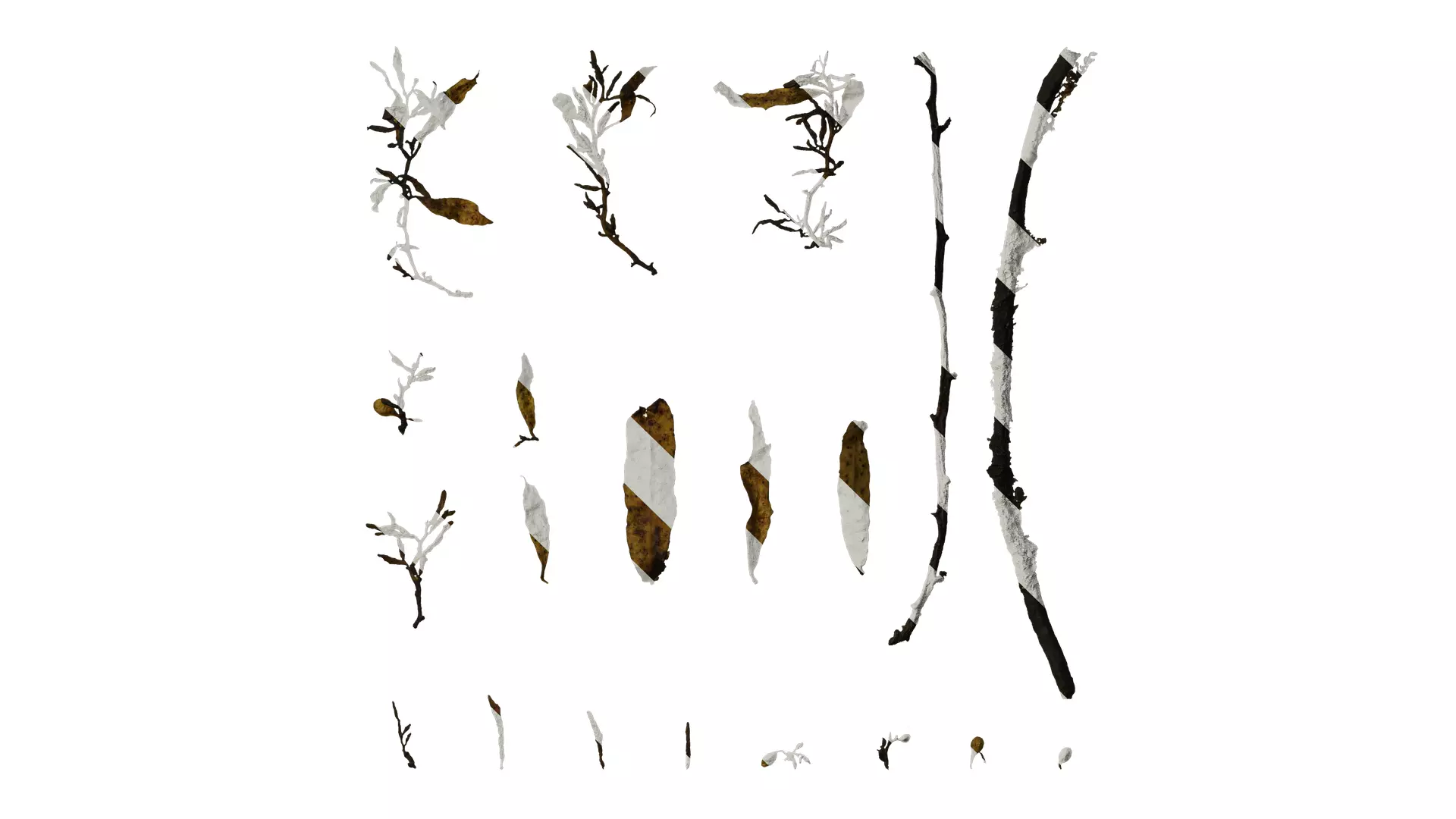 Anydrafts Sargassum pallidum Split 01 Texture_0