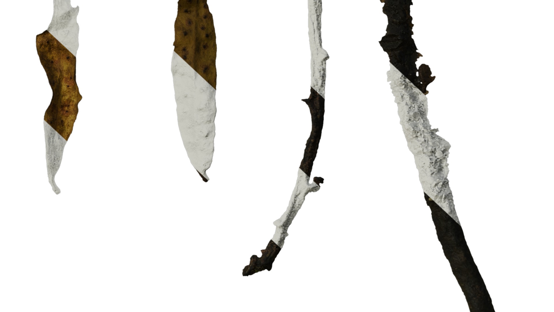 Anydrafts Sargassum pallidum Split 01 Texture_6