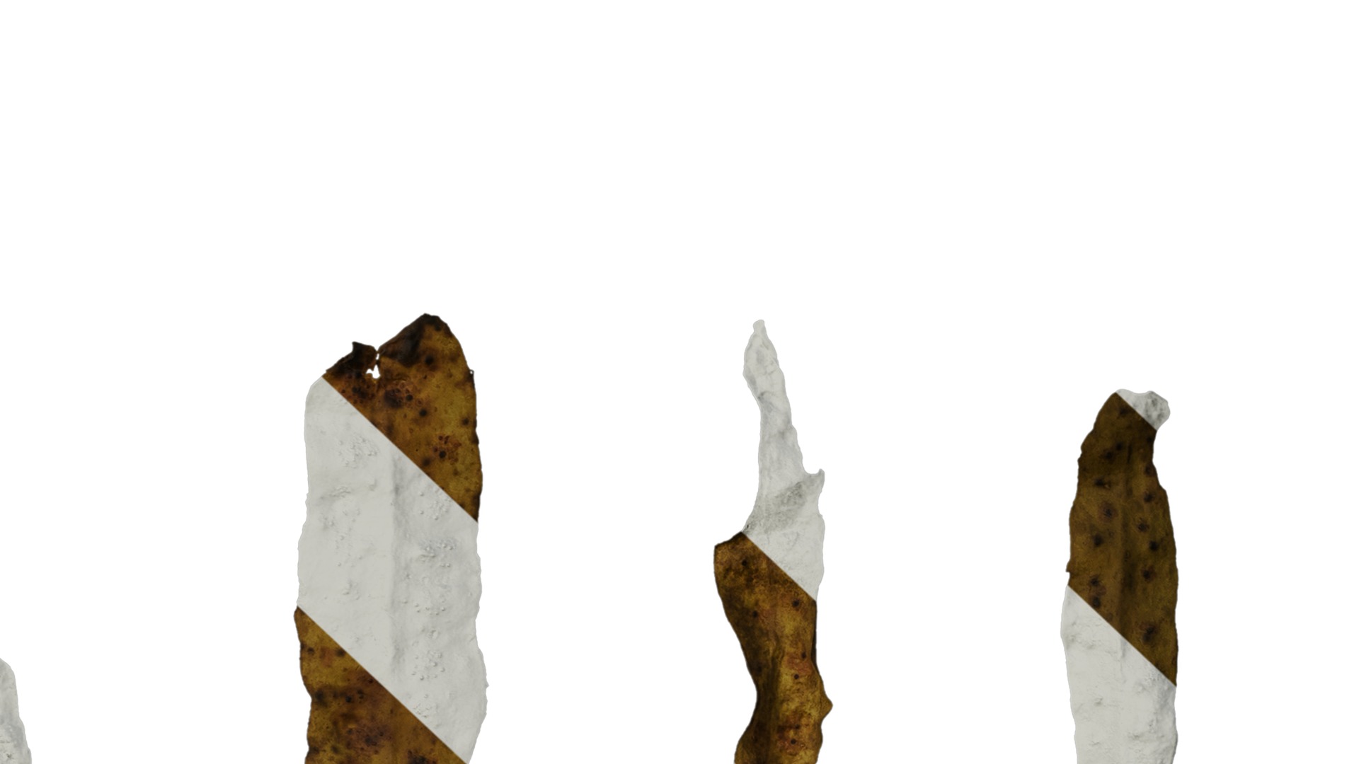 Anydrafts Sargassum pallidum Split 01 Texture_7