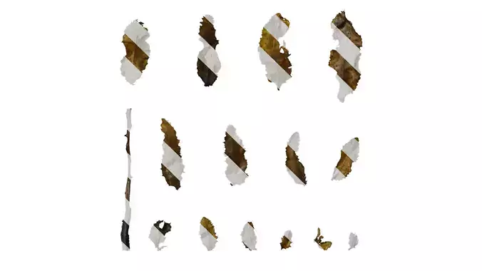 Anydrafts Sargassum pallidum Split 05