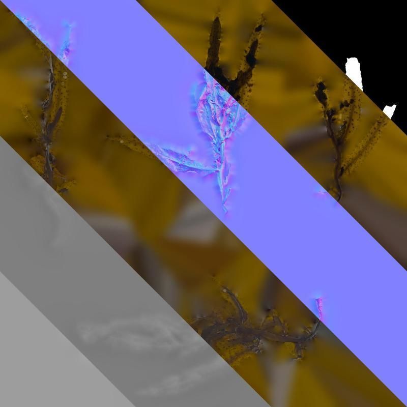 Anydrafts Sargassum pallidum Split 07 Texture_8