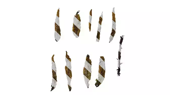 Anydrafts Sargassum pallidum Split 08