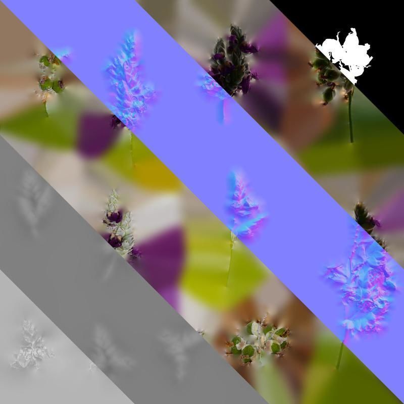 Anydrafts Thalia dealbata Atlas 11 Texture_8