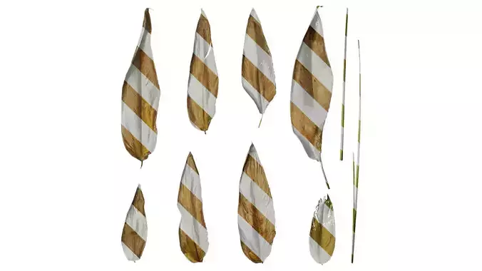 Anydrafts Thalia dealbata Leaf 02 Texture