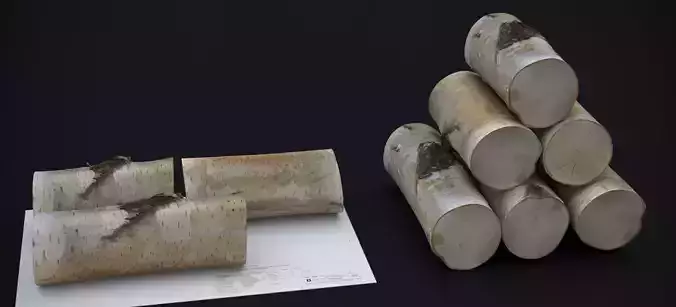 WINTER WOOD LOG 2024